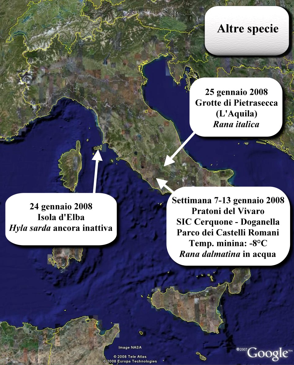 Avvistati Anfibi? Dove? Quando?